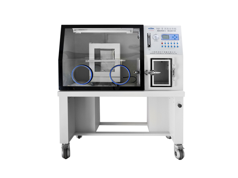 上海躍進(jìn)醫(yī)用厭氧培養(yǎng)箱((數(shù)碼管顯示）YQX-I